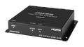 USB Converter with HDMI® and Analog Audio Input